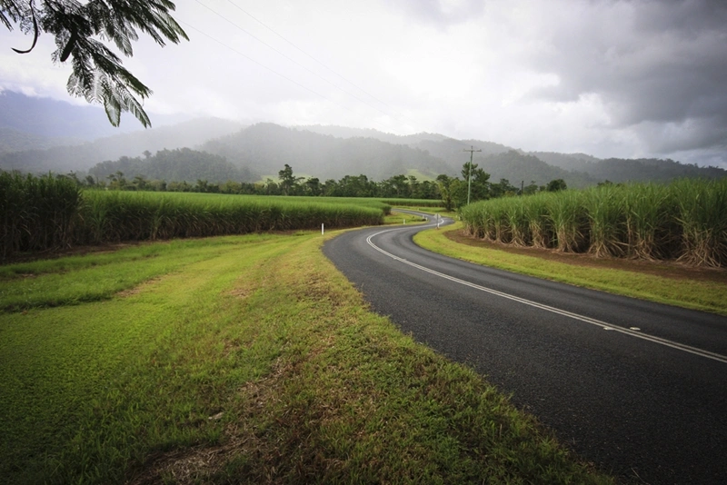 a photo of cane fields and the road near cairns