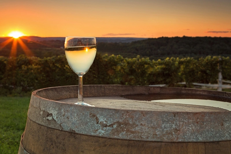 a wine glass on a wine barrell at sunset