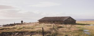 Old standing boatshed at the edge of Kelvedon Beach