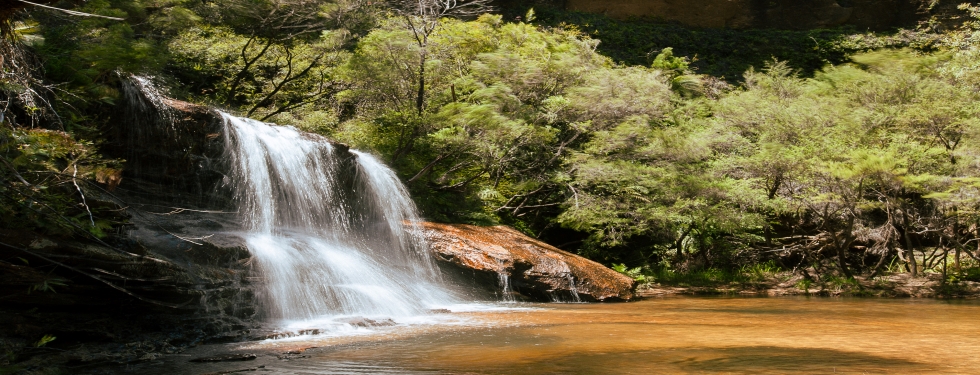 Wentworth Falls in the Blue Mountains NSW