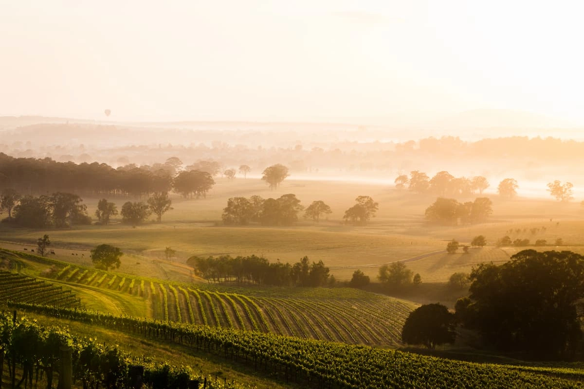hunter valley bathed in sunlight