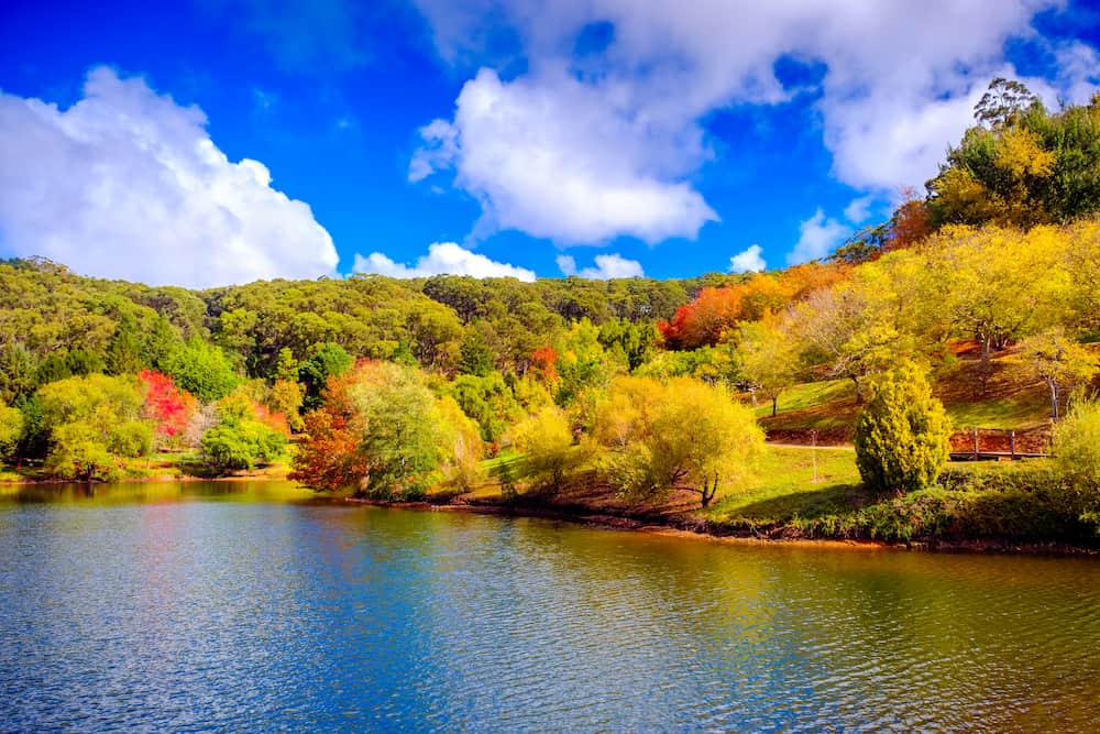 Blue skies with golden autumn trees reflecting on lake | Featured image for Adelaide Staff Top Picks blog for East Coast Car Rentals.