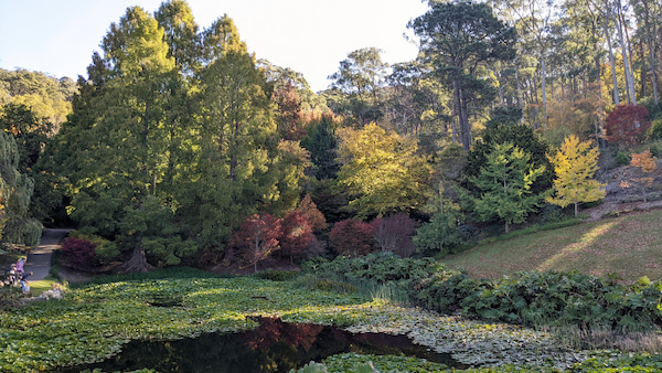 Pond surrounded by forest with green, red, and yellow autumn colored trees.