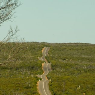 Long highway with green bush on either side