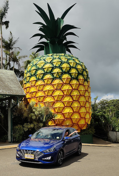 Blue car in front of big pineapple.