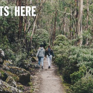 Two people walking down a path in the forest.