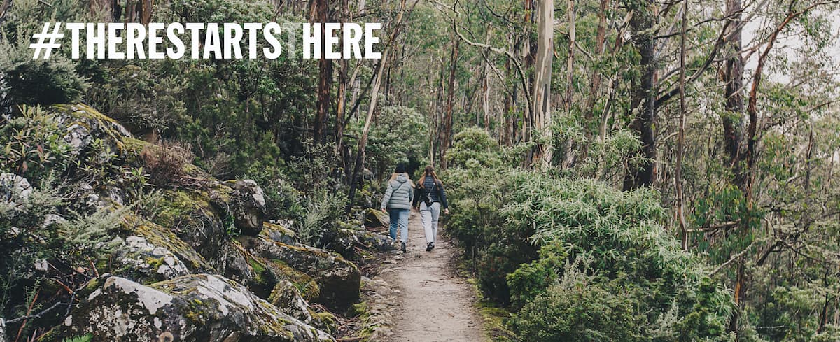 Two people walking down a path in the forest.