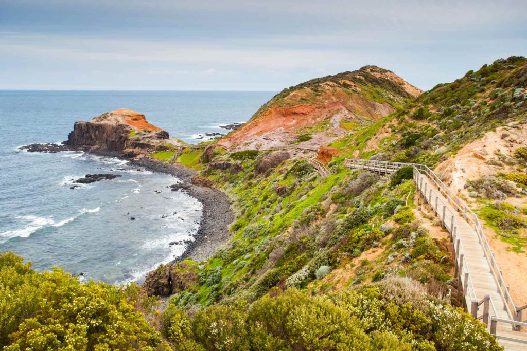 Photo of the Cape Schanck Boardwalk | Featured image for the Scenic Drives Mornington Peninsula blog for East Coast Car Rentals.