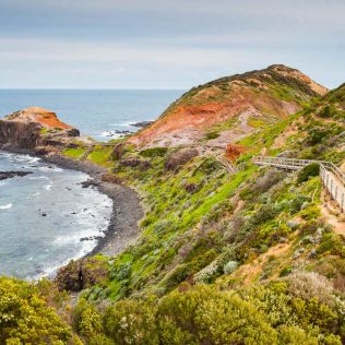Photo of the Cape Schanck Boardwalk | Featured image for the Scenic Drives Mornington Peninsula blog for East Coast Car Rentals.