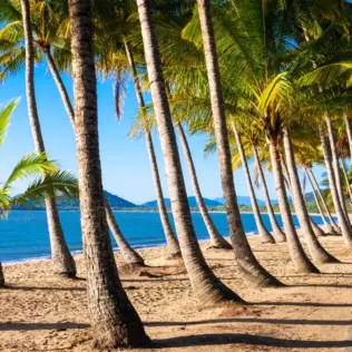 Visiting Cairns in June: Ironman Weekend, Road Trips & Travel Tips