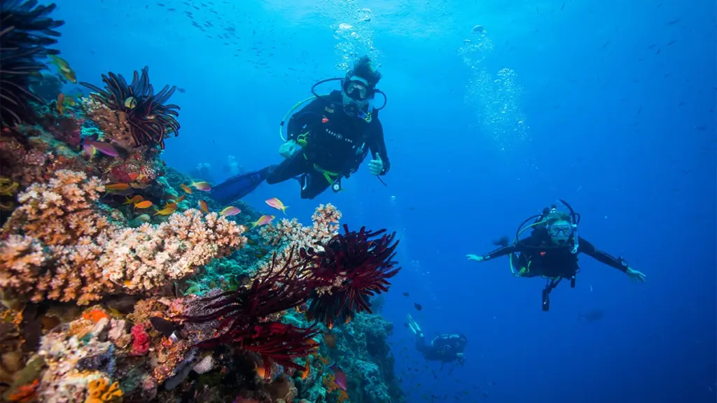 Great Barrier Reef, Tropical North Queensland
