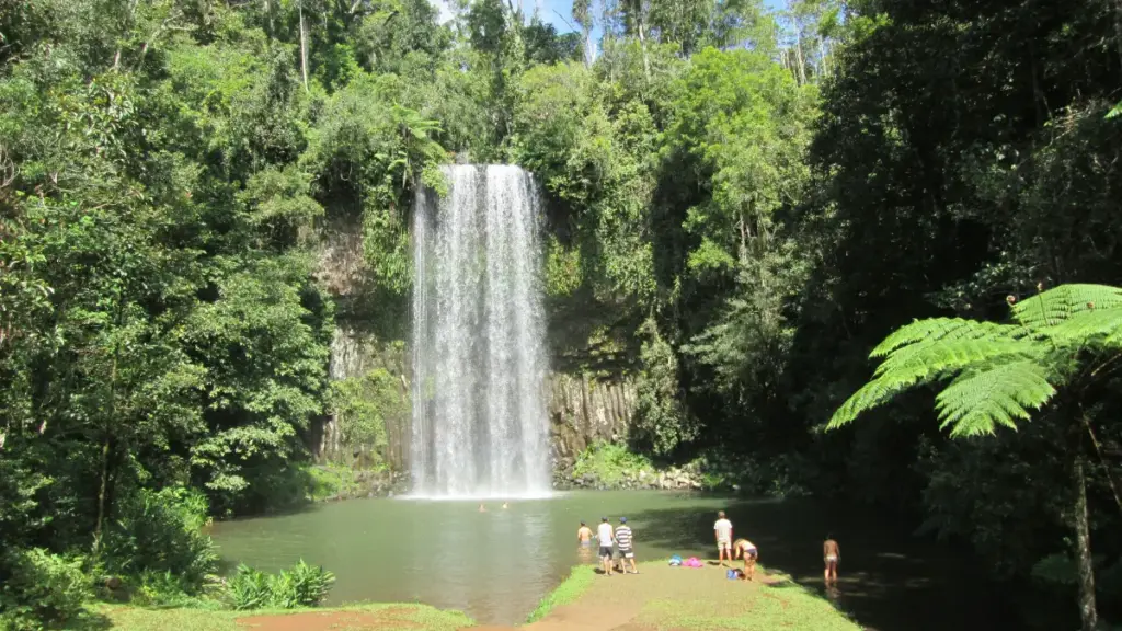 Atherton Tablelands, Tropical North Queensland.